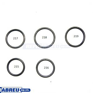 O-RING 219*BC