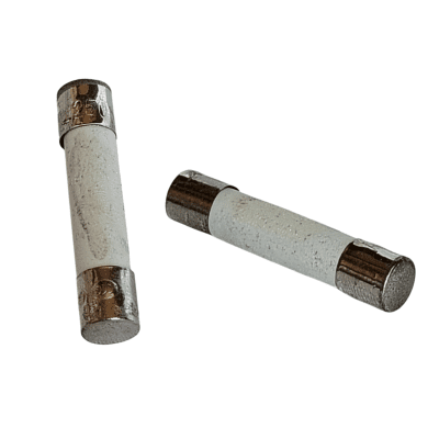 FUSIBLE MICROONDAS F20AL 250 VOLTIOS