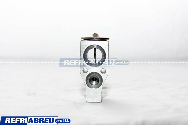 VALVULA EXPANSION AUTO CHEVROLET UPLANDER 05-09 REAR - Imagen 4